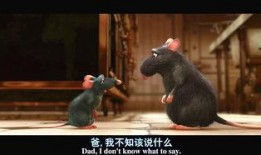 最新爆料老鼠事件新闻,最新老鼠事件引发公众关注，卫生安全问题亟待解决