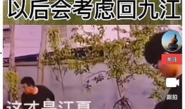 错换人28最新动态爆料,揭秘真相，正义终将到来