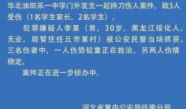 河北省高校爆料事件最新,真相与反思